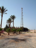 egypt019.jpg